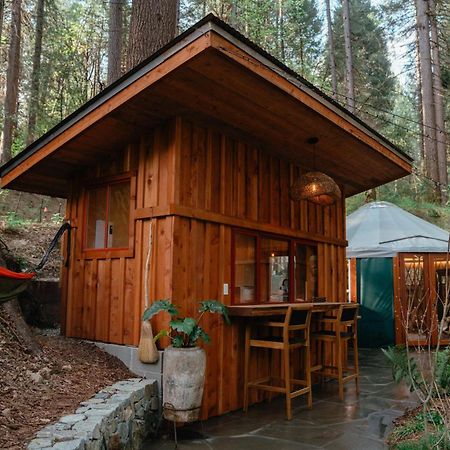 Hotel Magical Yurt In The Woods - 2 Miles From Town Nevada City Esterno foto
